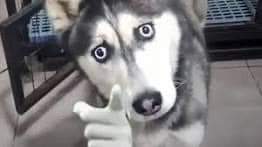 Amore Mio (luyd Pinho Feat. Dj Hélio De Souza)