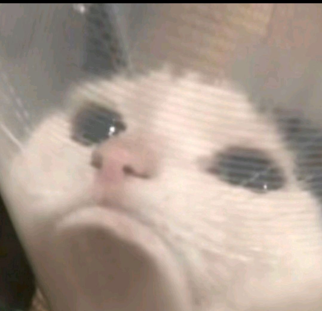 Solo - Luyd Pinho ( Extended)